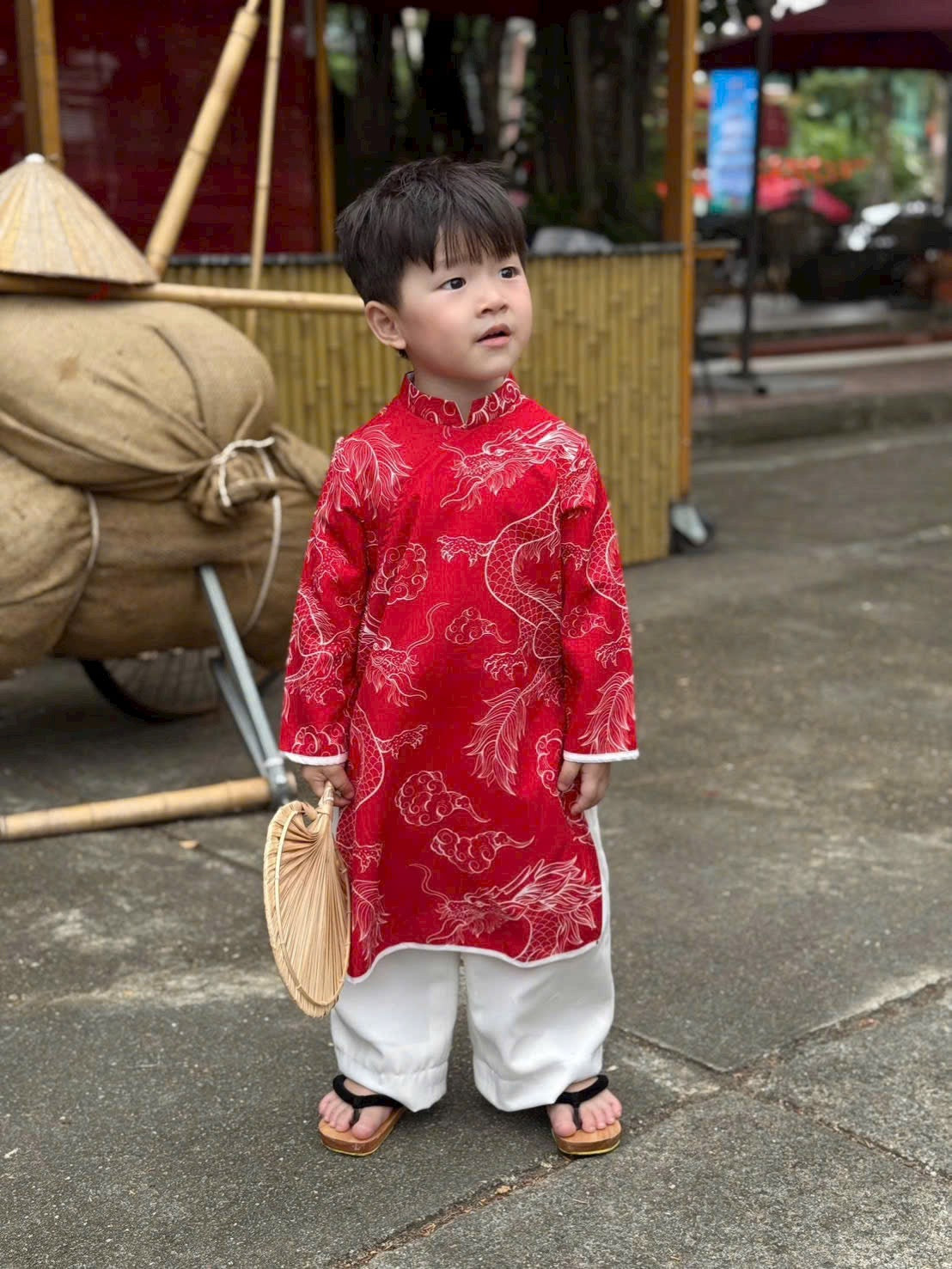 Boy Printed Dragon Clouds Ao Dai Top (3 Colors) 41B