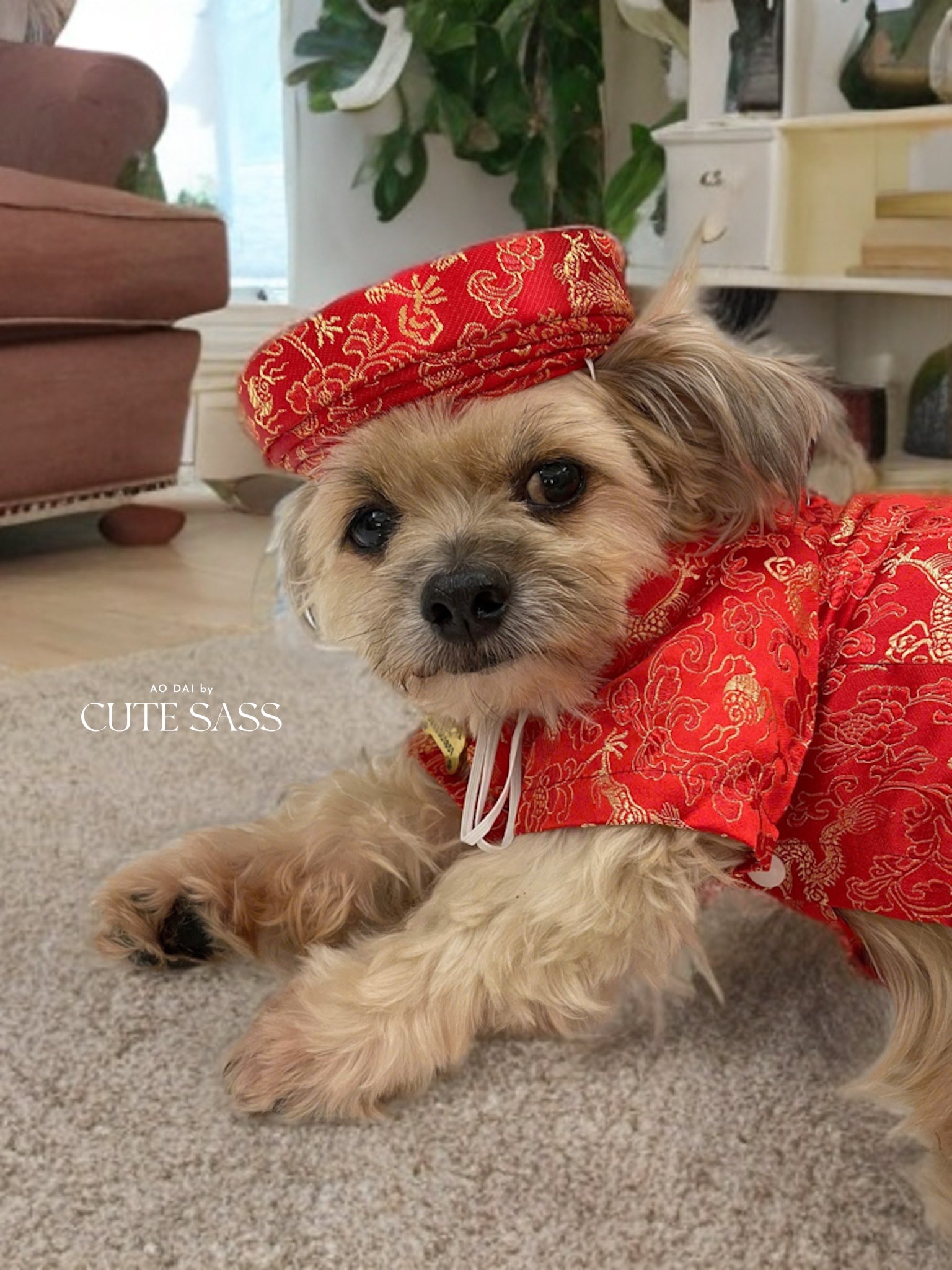 dog dress red Oodles Sweet Strawberry Flutter Dog Dress, Red, XS