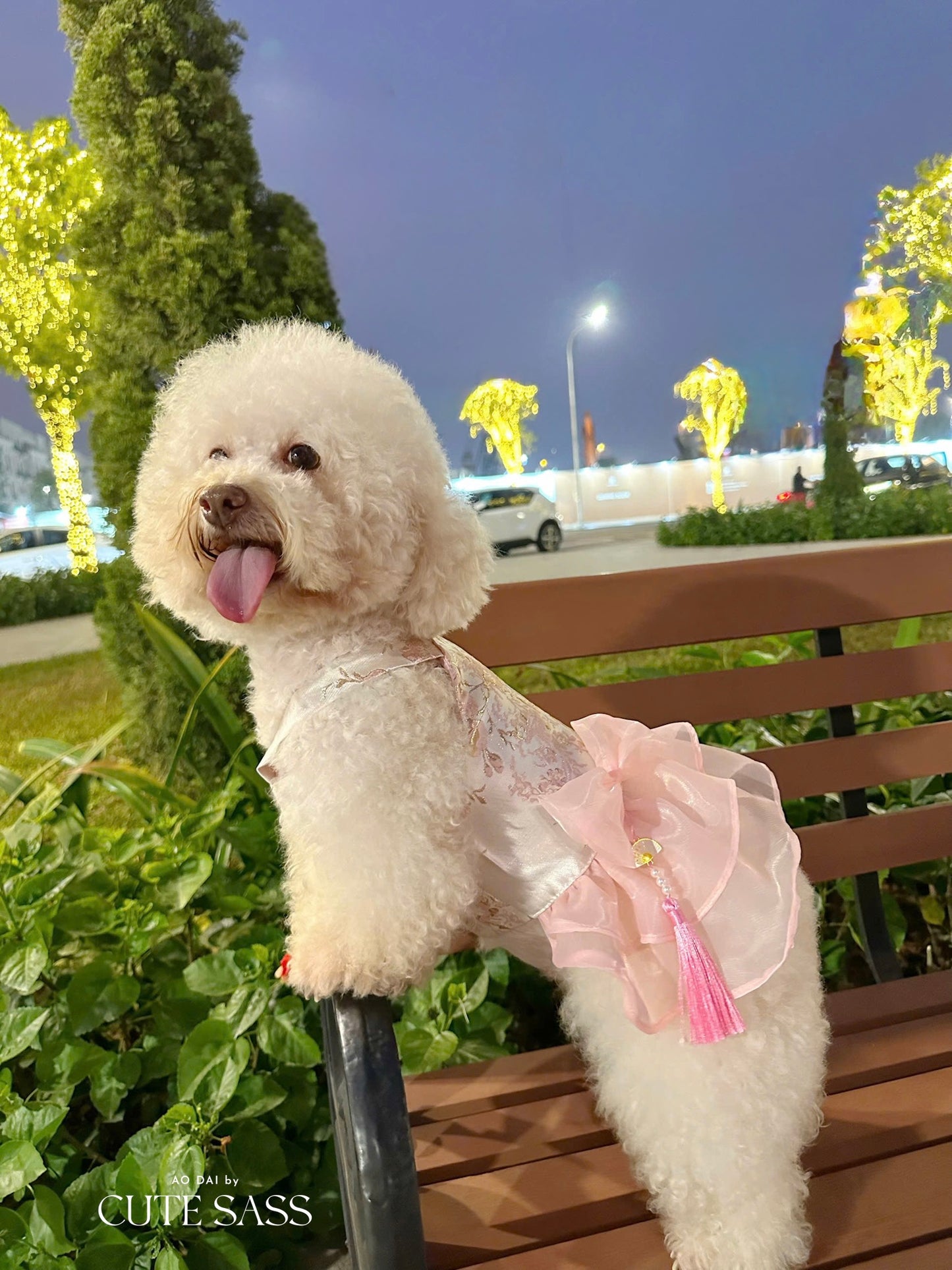 Pet Pink and Gold Bow Yem-Inspired Halter Ao Dai 47C