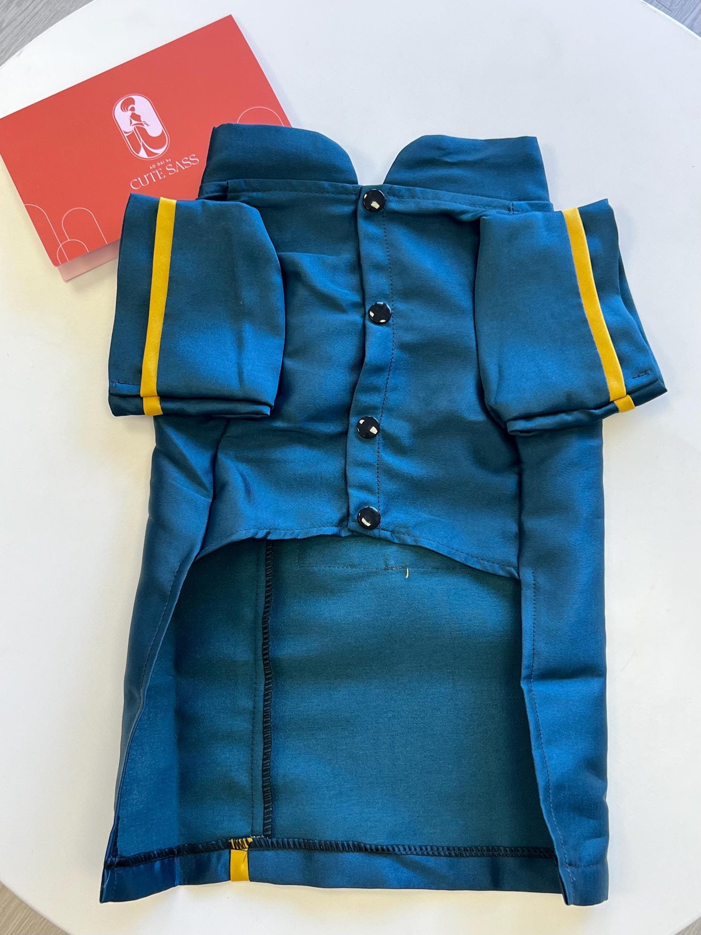 Pet Blue Banh Tet Tassel Ao Dai 3B