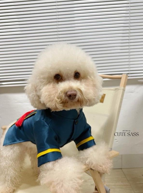 Pet Blue Banh Tet Tassel Ao Dai 3B