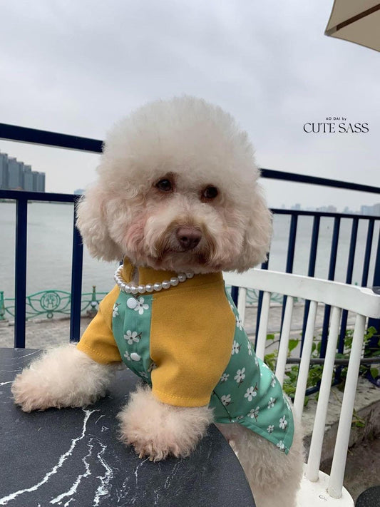 Pet Cyan/Yellow Daisy Ao Dai 3B