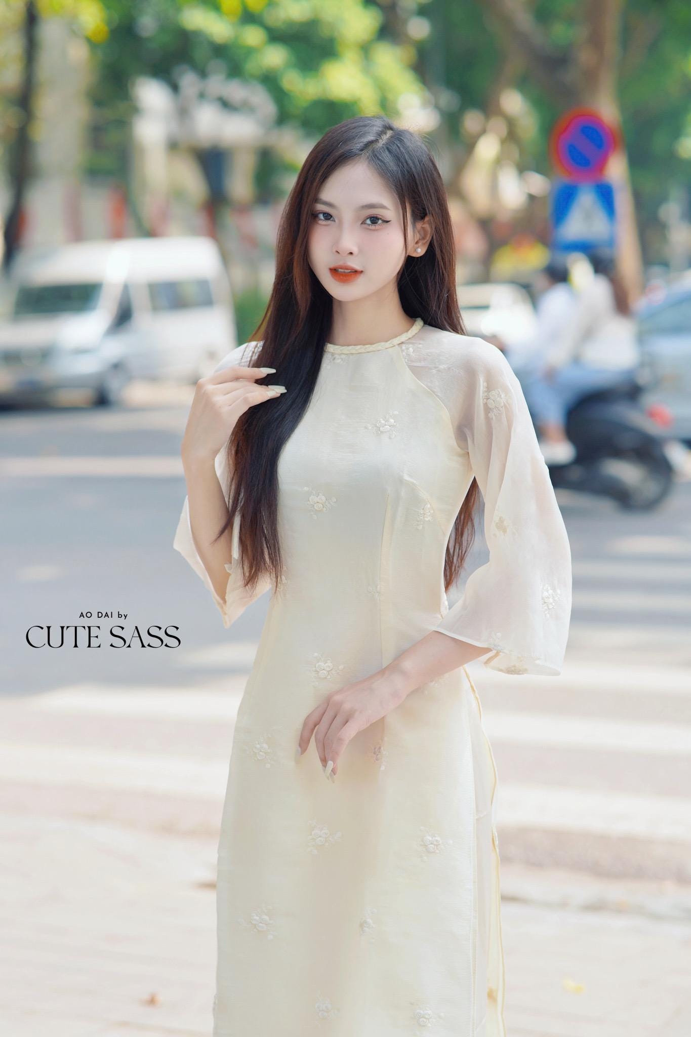 Cream Tassel Embroidery Roses Ao Dai Set 29A|Pre-made Modernized Vietnamese Ao Dai| Women Ao Dai with Pants | Lunar New Year|