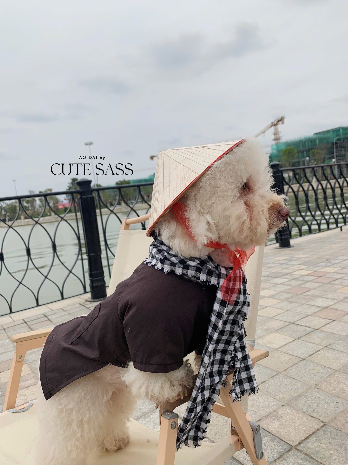 Pet Non La (Straw Hat) | Vietnamese Pet Outfit | Cute Dog and Cat Ao Dai | Lunar New Year Pet Clothes| AoDaibyCuteSass