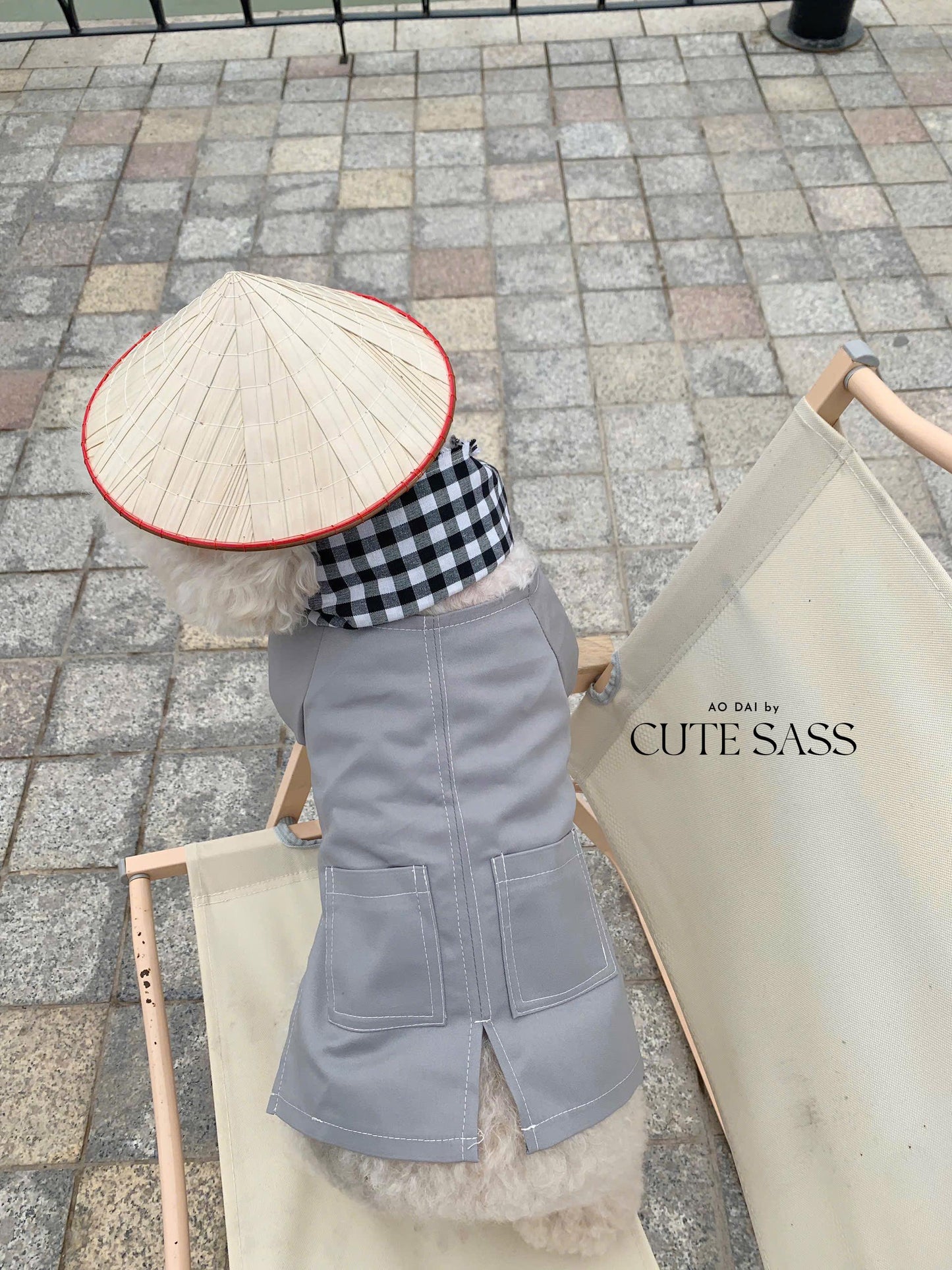 Pet Non La (Straw Hat) | Vietnamese Pet Outfit | Cute Dog and Cat Ao Dai | Lunar New Year Pet Clothes| AoDaibyCuteSass