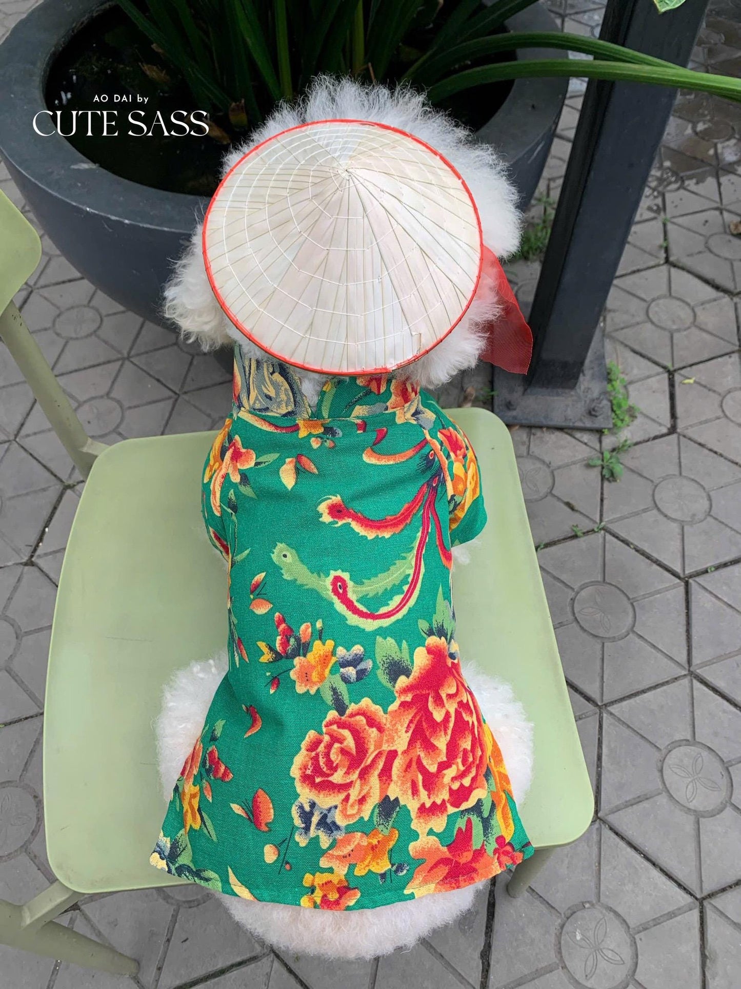 Pet Non La (Straw Hat) | Vietnamese Pet Outfit | Cute Dog and Cat Ao Dai | Lunar New Year Pet Clothes| AoDaibyCuteSass