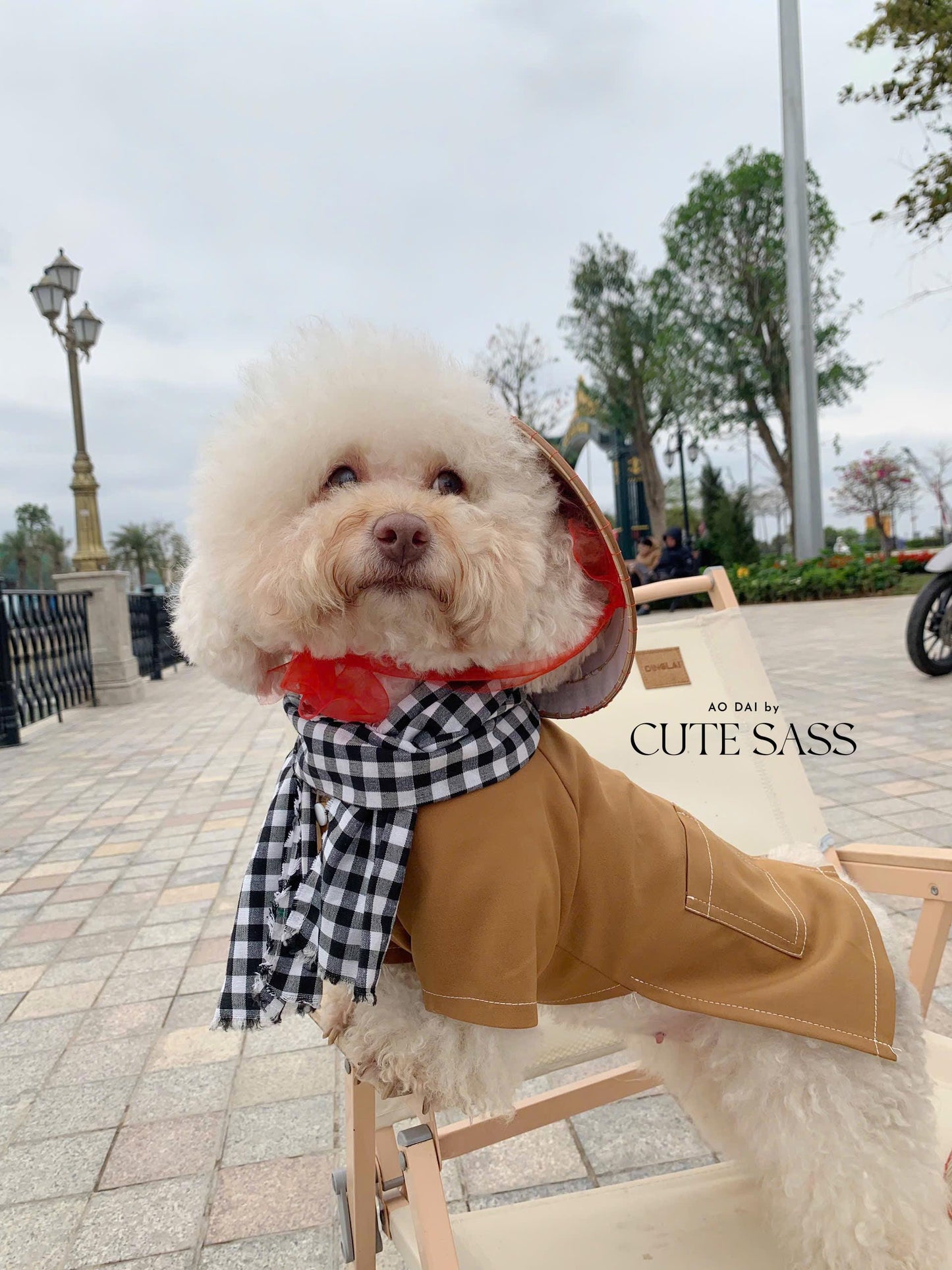 Pet Non La (Straw Hat) | Vietnamese Pet Outfit | Cute Dog and Cat Ao Dai | Lunar New Year Pet Clothes| AoDaibyCuteSass