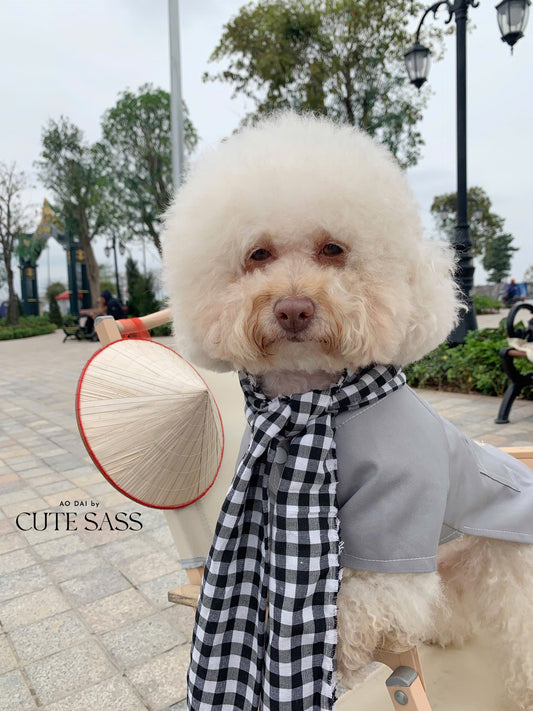 Pet Gray Ba Ba Ao Dai with Checkered Scarf 44B