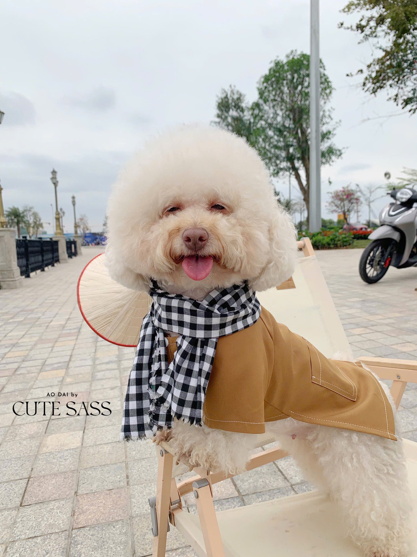 Pet Light Brown Ba Ba Ao Dai with Checkered Scarf 45B