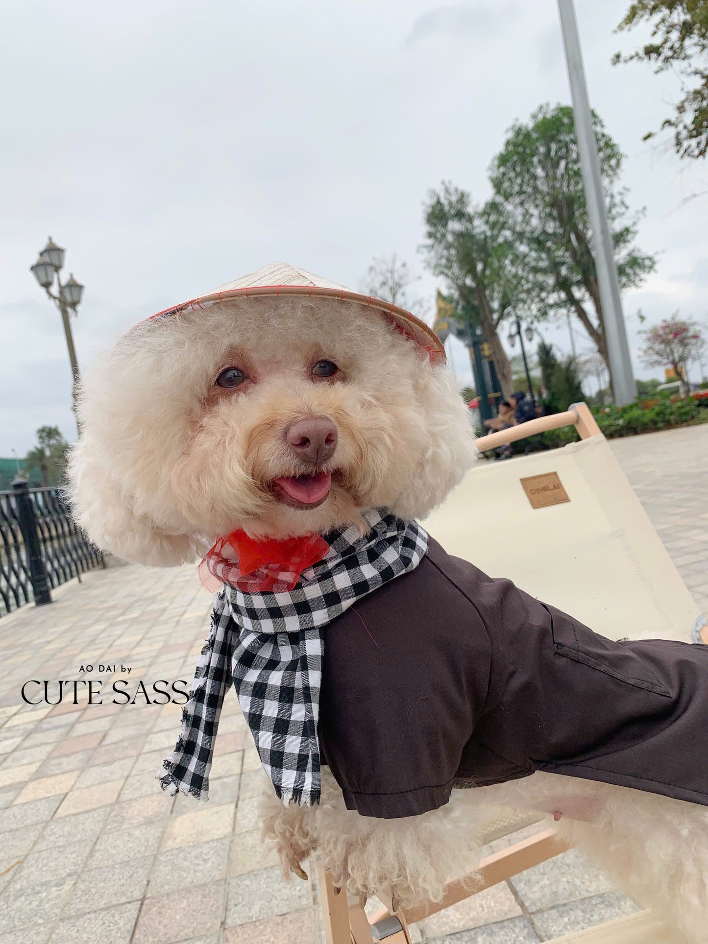 Pet Dark Brown Ba Ba Ao Dai with Checkered Scarf 44C