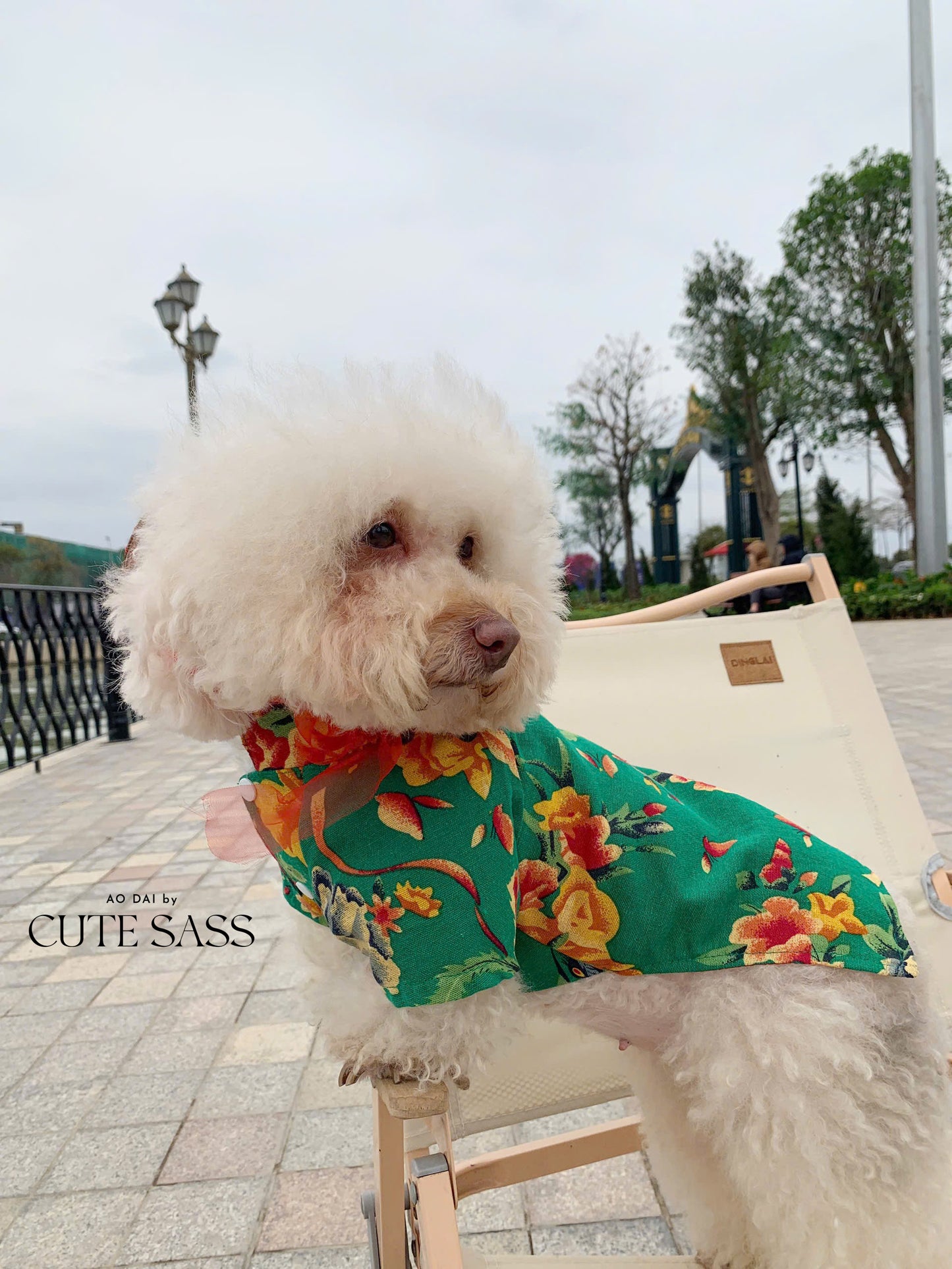 Pet Green Vietnamese Floral Retro Pattern Ao Dai 46A