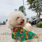 Pet Green Vietnamese Floral Retro Pattern Ao Dai 46A