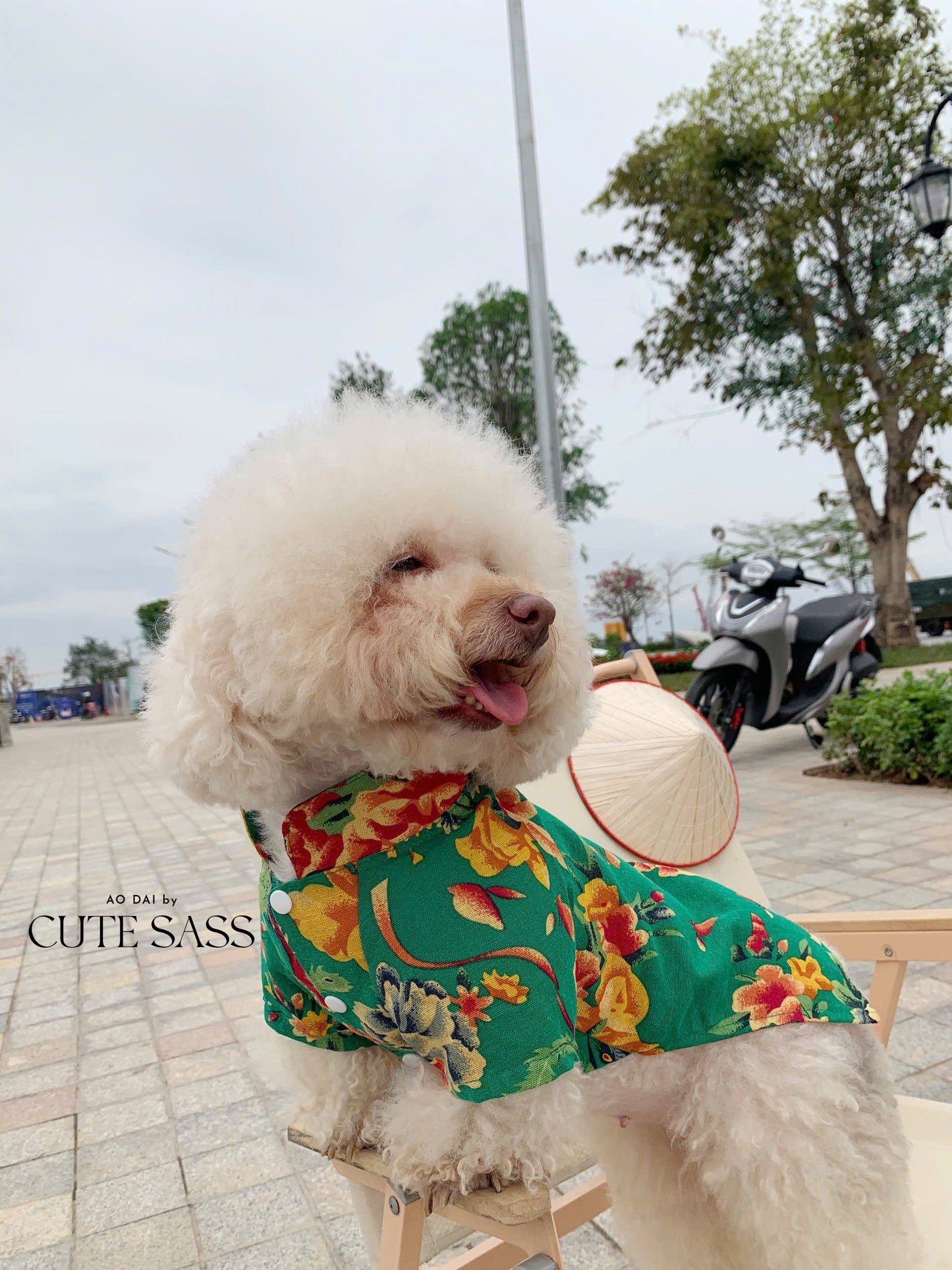 Pet Green Vietnamese Floral Retro Pattern Ao Dai 46A