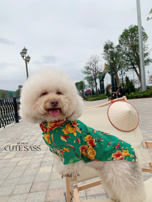 Pet Green Vietnamese Floral Retro Pattern Ao Dai 46A