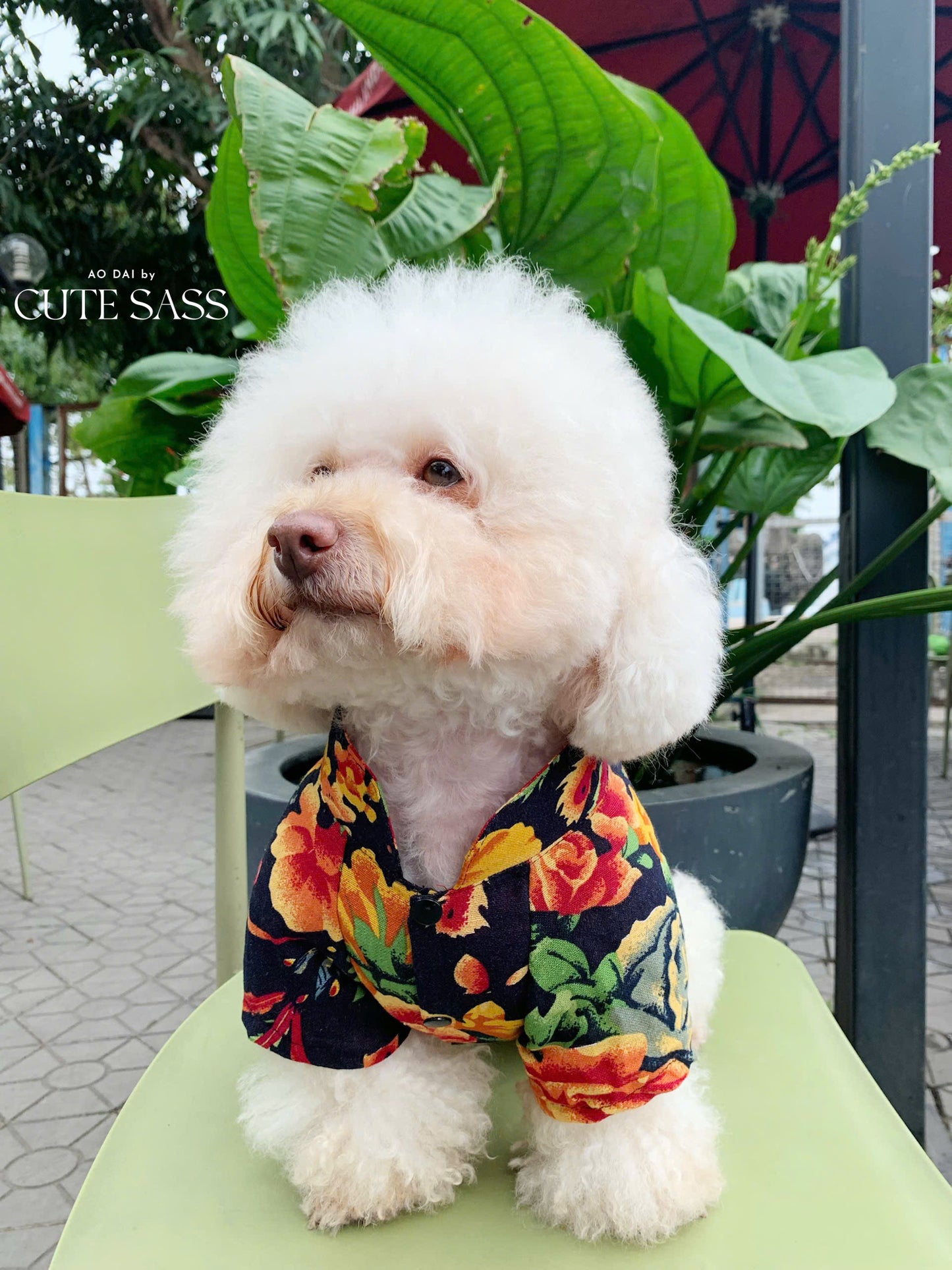 Pet Black Vietnamese Floral Retro Pattern Ao Dai 46A