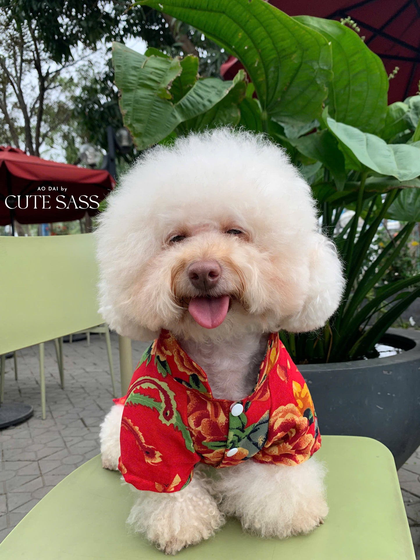 Pet Red Vietnamese Floral Retro Pattern Ao Dai 46A