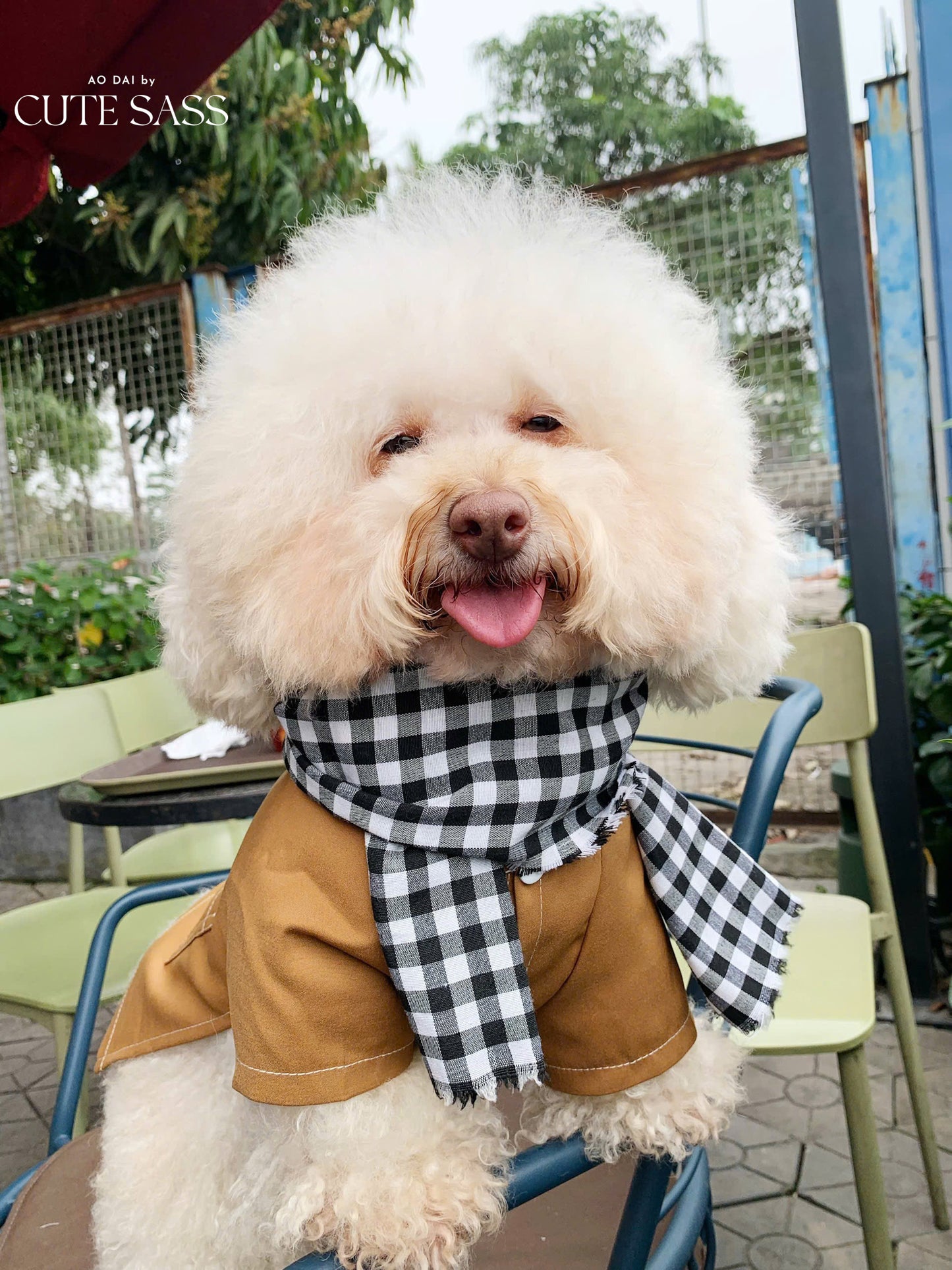 Pet Light Brown Ba Ba Ao Dai with Checkered Scarf 45B