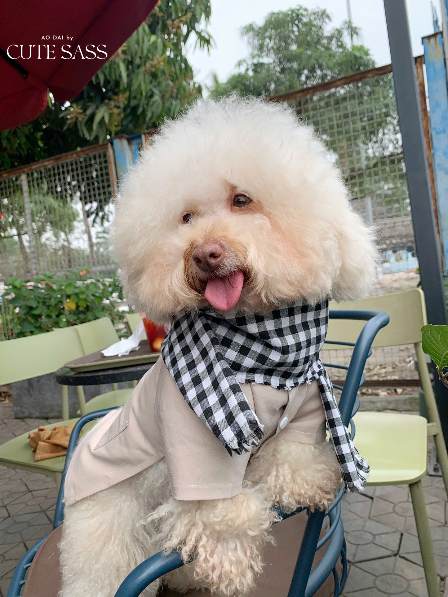 Pet Gray Ba Ba Ao Dai with Checkered Scarf 44B