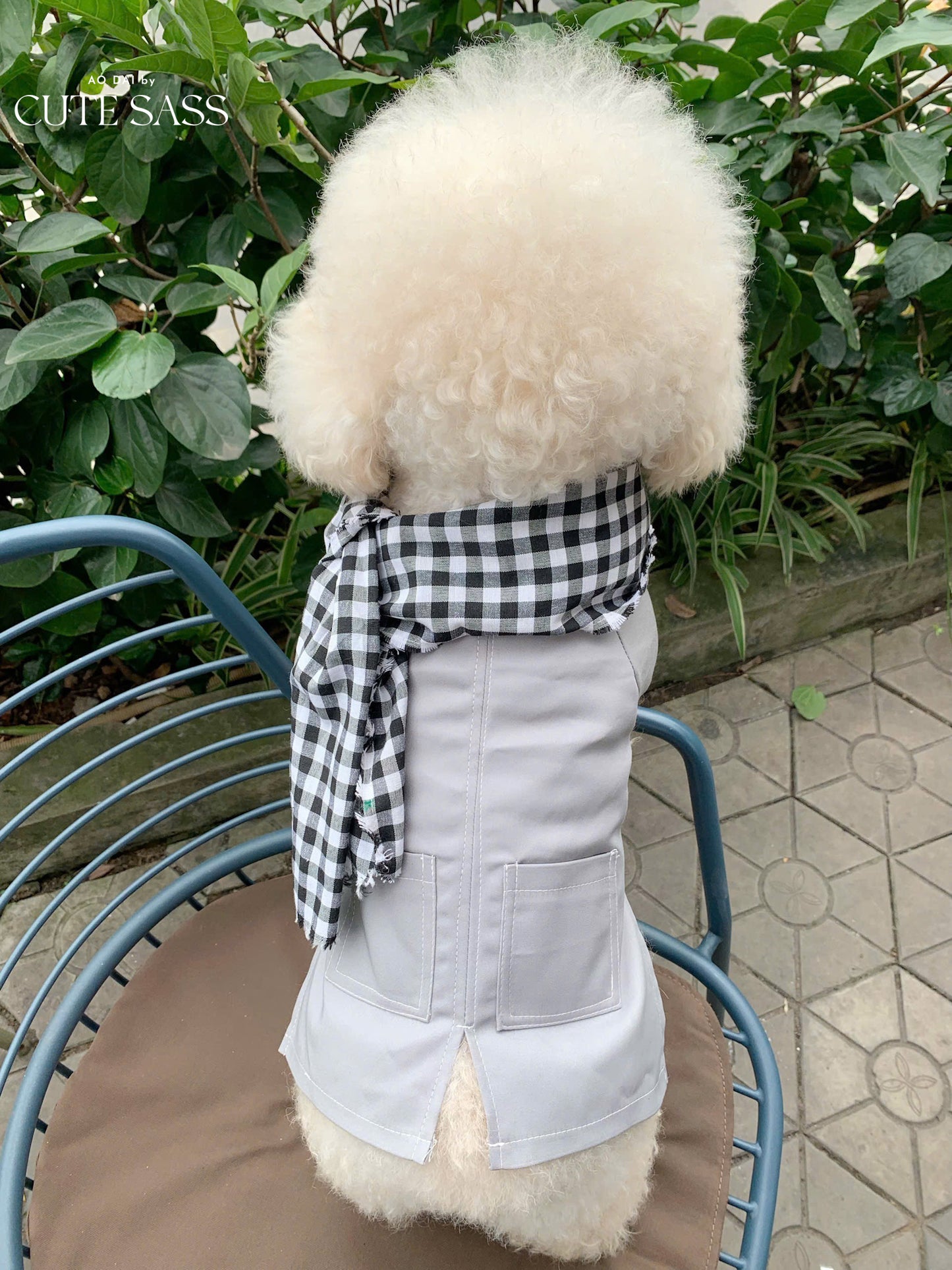 Pet Gray Ba Ba Ao Dai with Checkered Scarf 44B