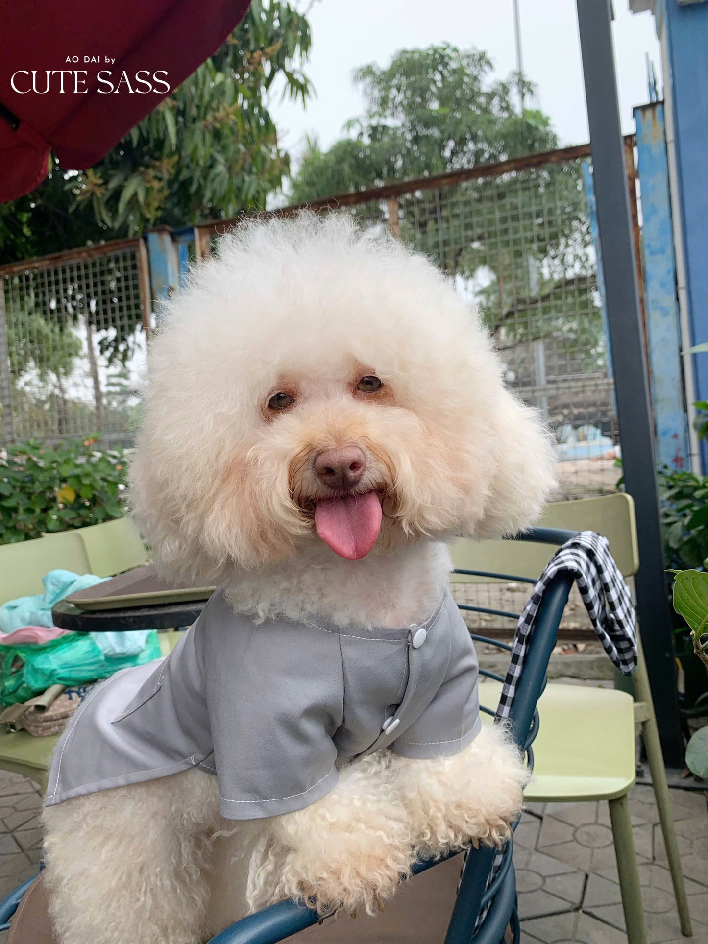 Pet Gray Ba Ba Ao Dai with Checkered Scarf 44B