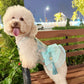 Pet Cyan and Gold Bows Yem-Inspired Halter Ao Dai 47C