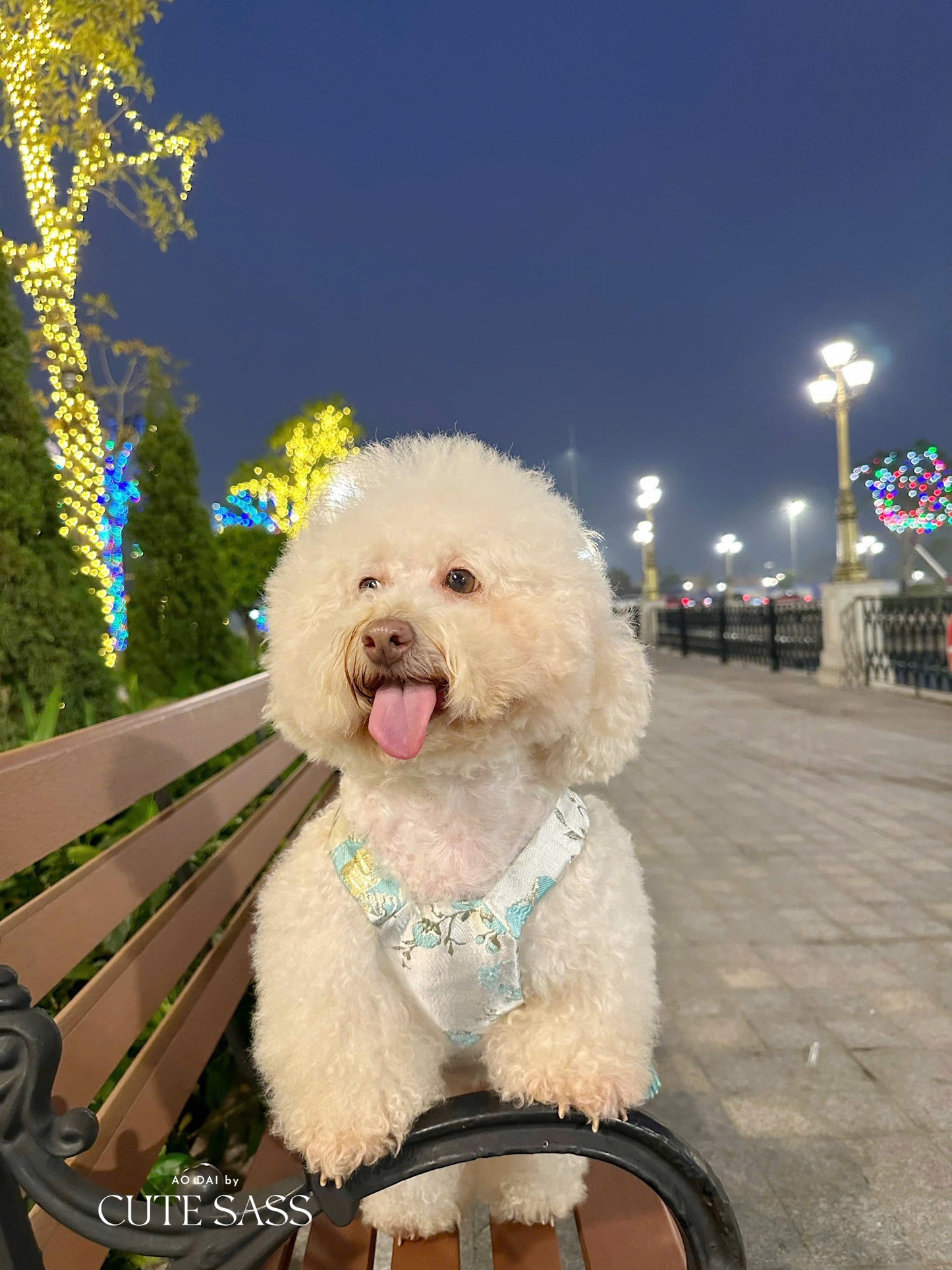 Pet Cyan and Gold Bows Yem-Inspired Halter Ao Dai 47C