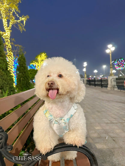 Pet Cyan and Gold Bows Yem-Inspired Halter Ao Dai 47C