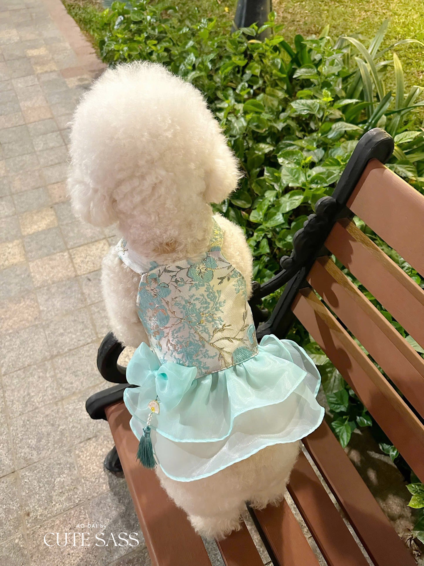 Pet Cyan and Gold Bows Yem-Inspired Halter Ao Dai 47C