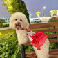 Pet Red and Gold Bow Yem-Inspired Halter Ao Dai