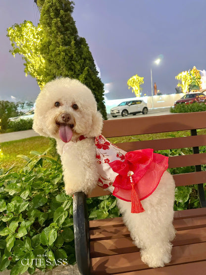 Pet Red and Gold Bow Yem-Inspired Halter Ao Dai 48C
