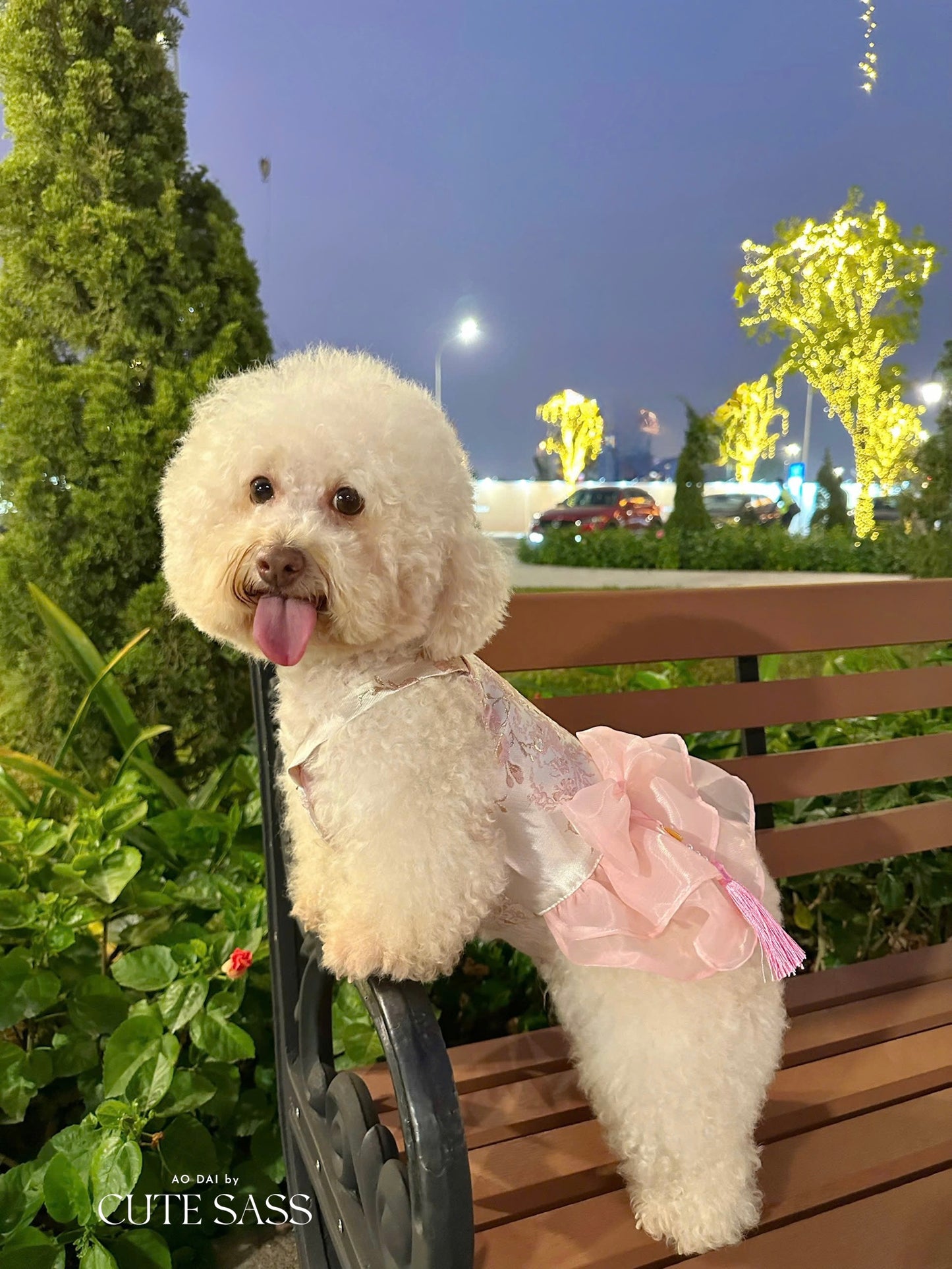 Pet Pink and Gold Bow Yem-Inspired Halter Ao Dai
