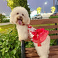Pet Red and Gold Bow Yem-Inspired Halter Ao Dai