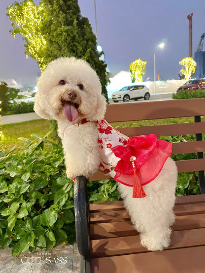Pet Red and Gold Bow Yem-Inspired Halter Ao Dai 48C