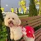 Pet Red and Gold Bow Yem-Inspired Halter Ao Dai
