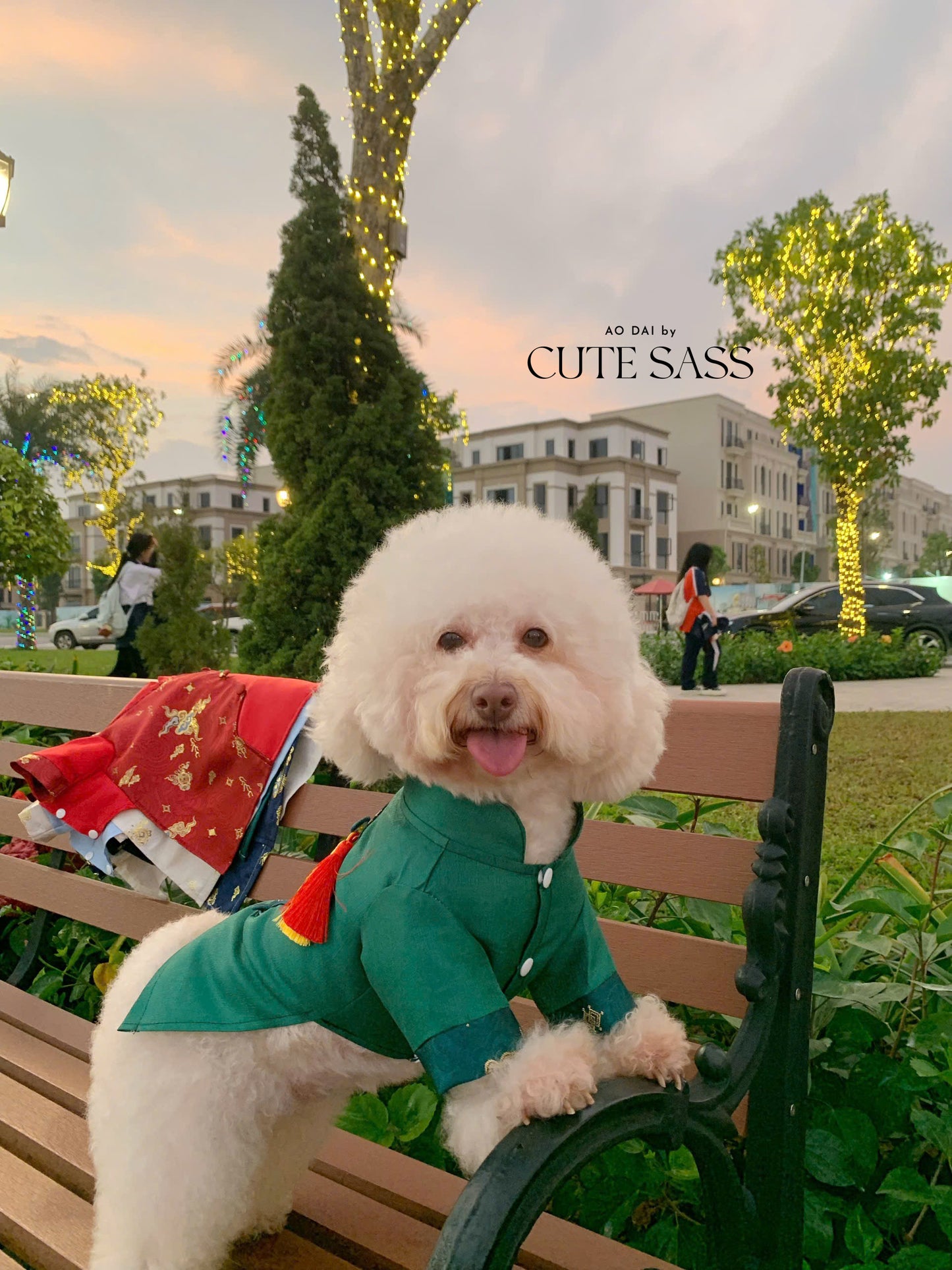 Pet Green Gam Yellow-Red Tassel Ao Dai