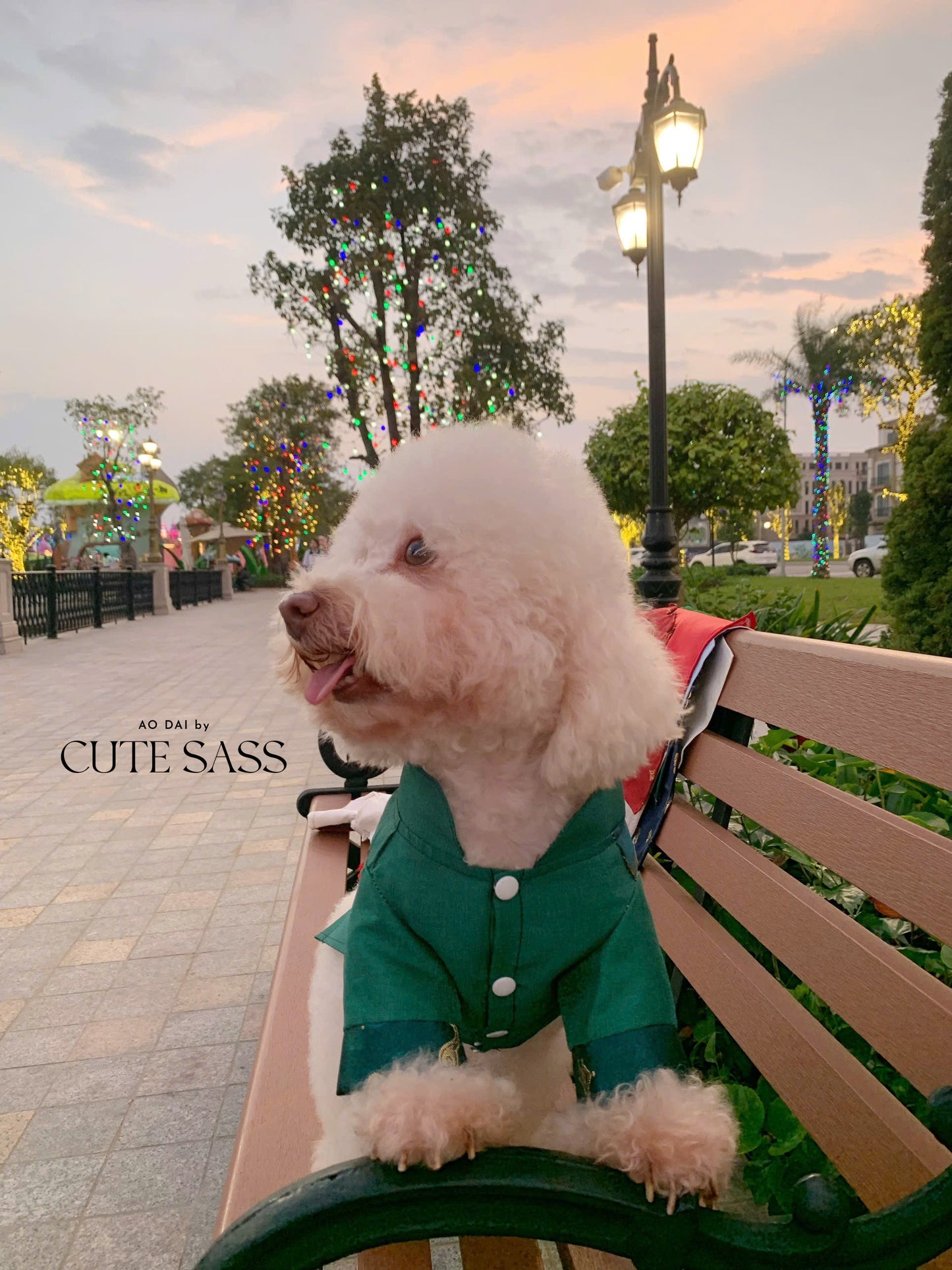 Pet Green Gam Yellow-Red Tassel Ao Dai