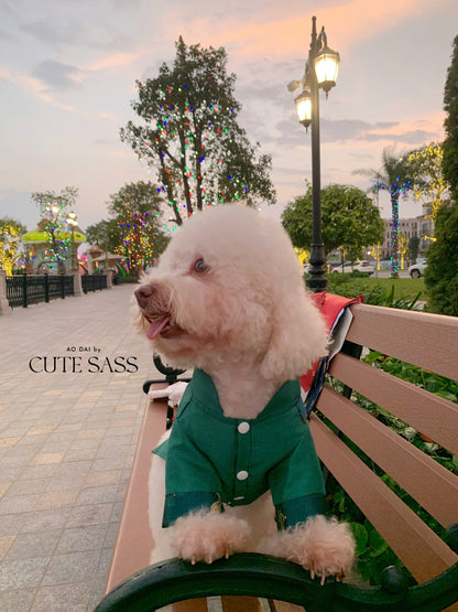 Pet Green Gam with Tassel Ao Dai 41A