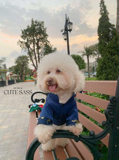 Pet Dark Blue Gam with Tassel Ao Dai 45D