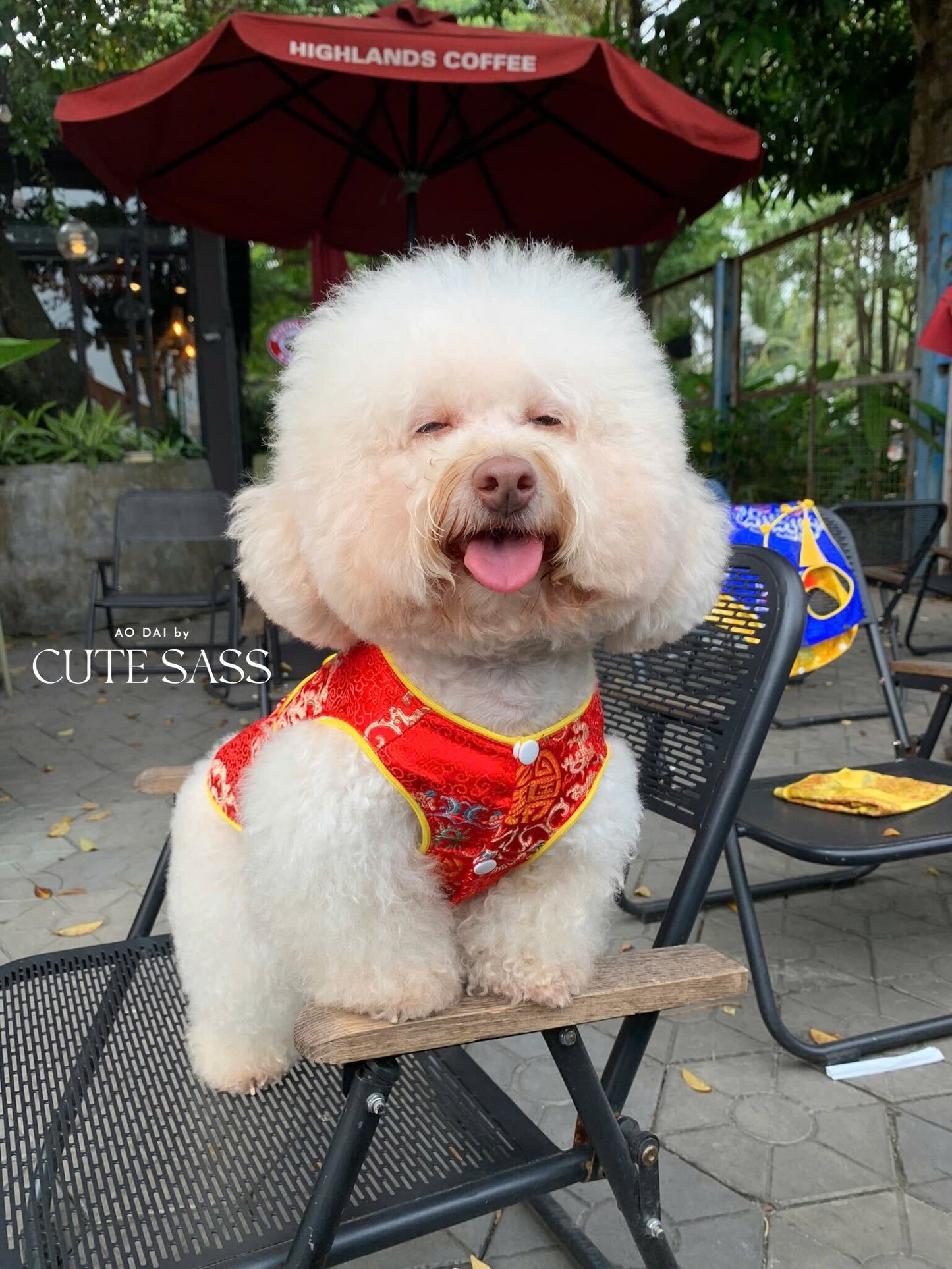 Pet Red Gam Short Sleeves Green Tassel Ao Dai