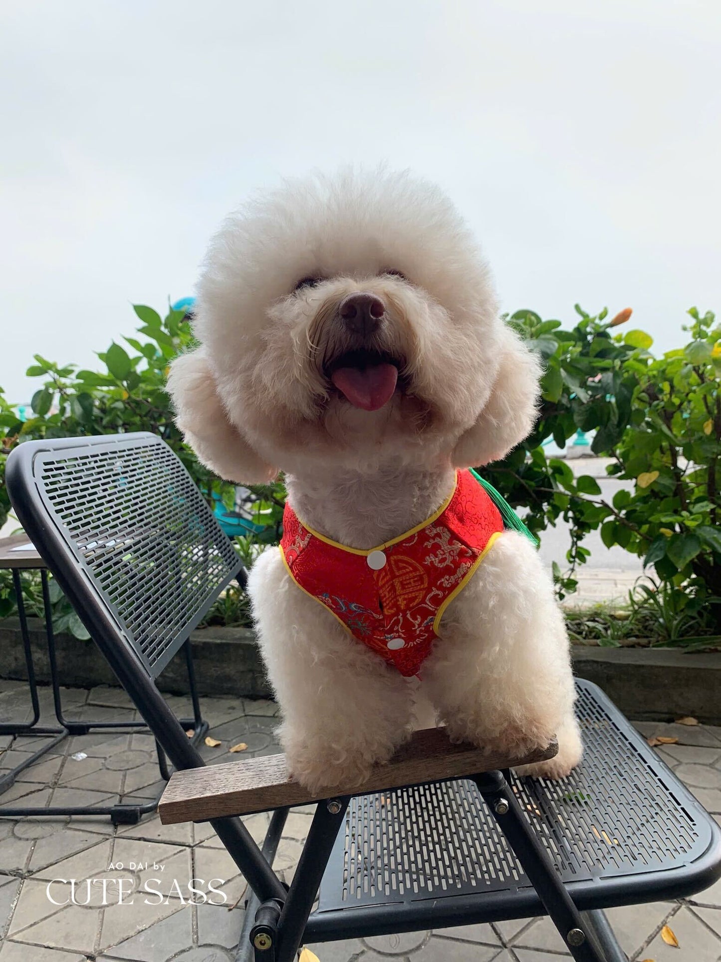 Pet Red Gam Short Sleeves Green Tassel Ao Dai