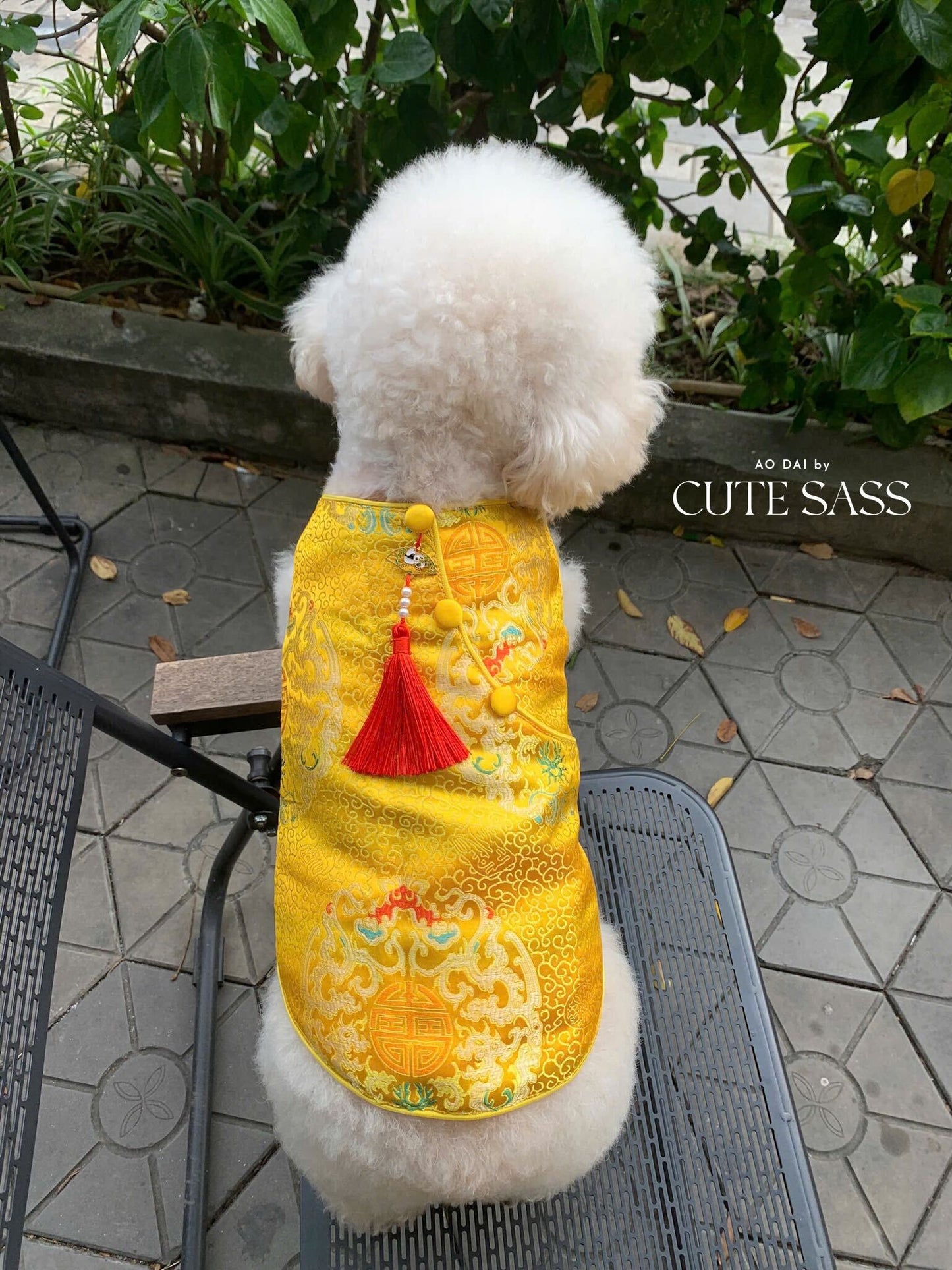 Pet Yellow Gam Short Sleeves Red Tassel Ao Dai
