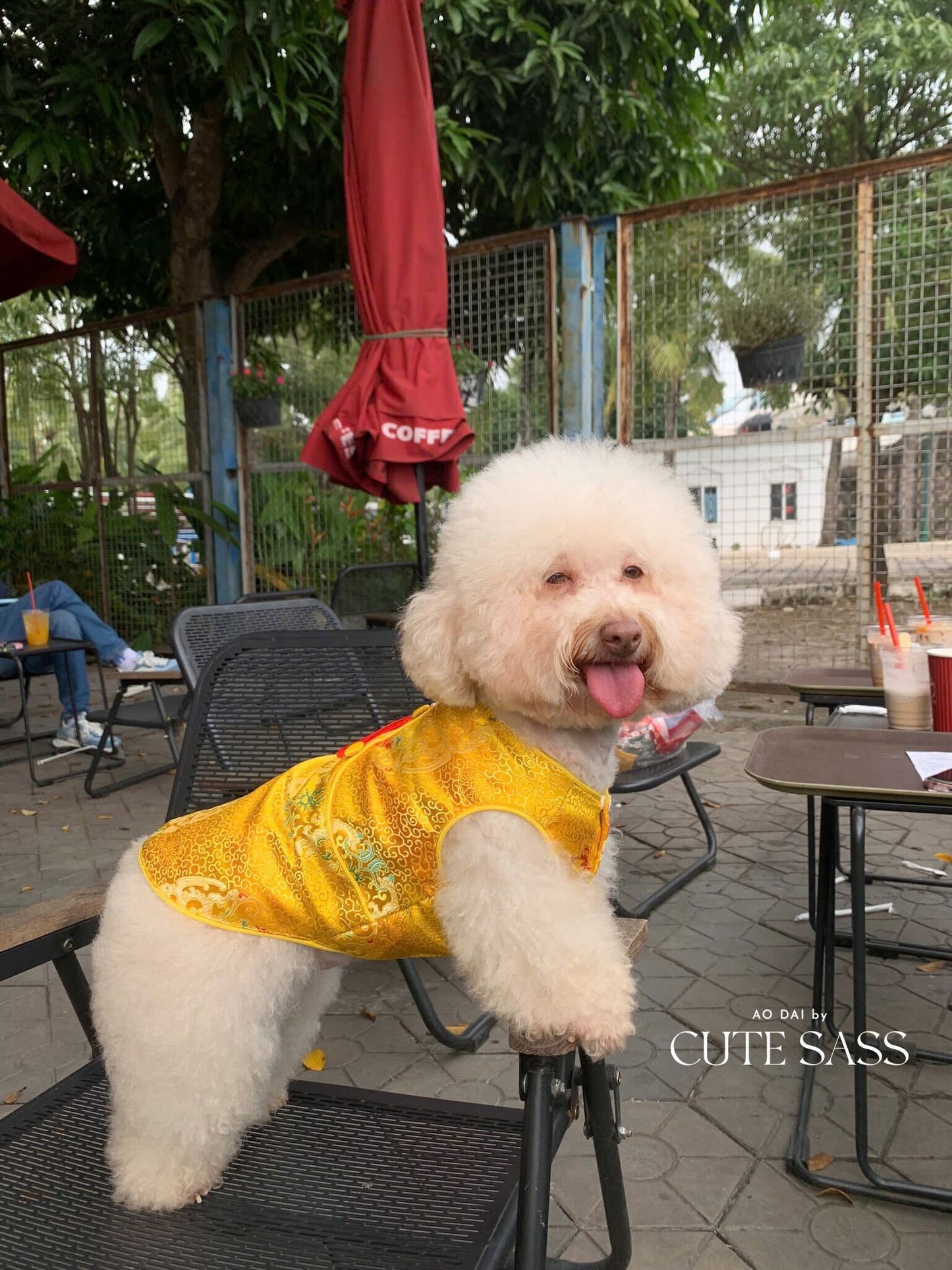 Pet Yellow Gam Short Sleeves Red Tassel Ao Dai