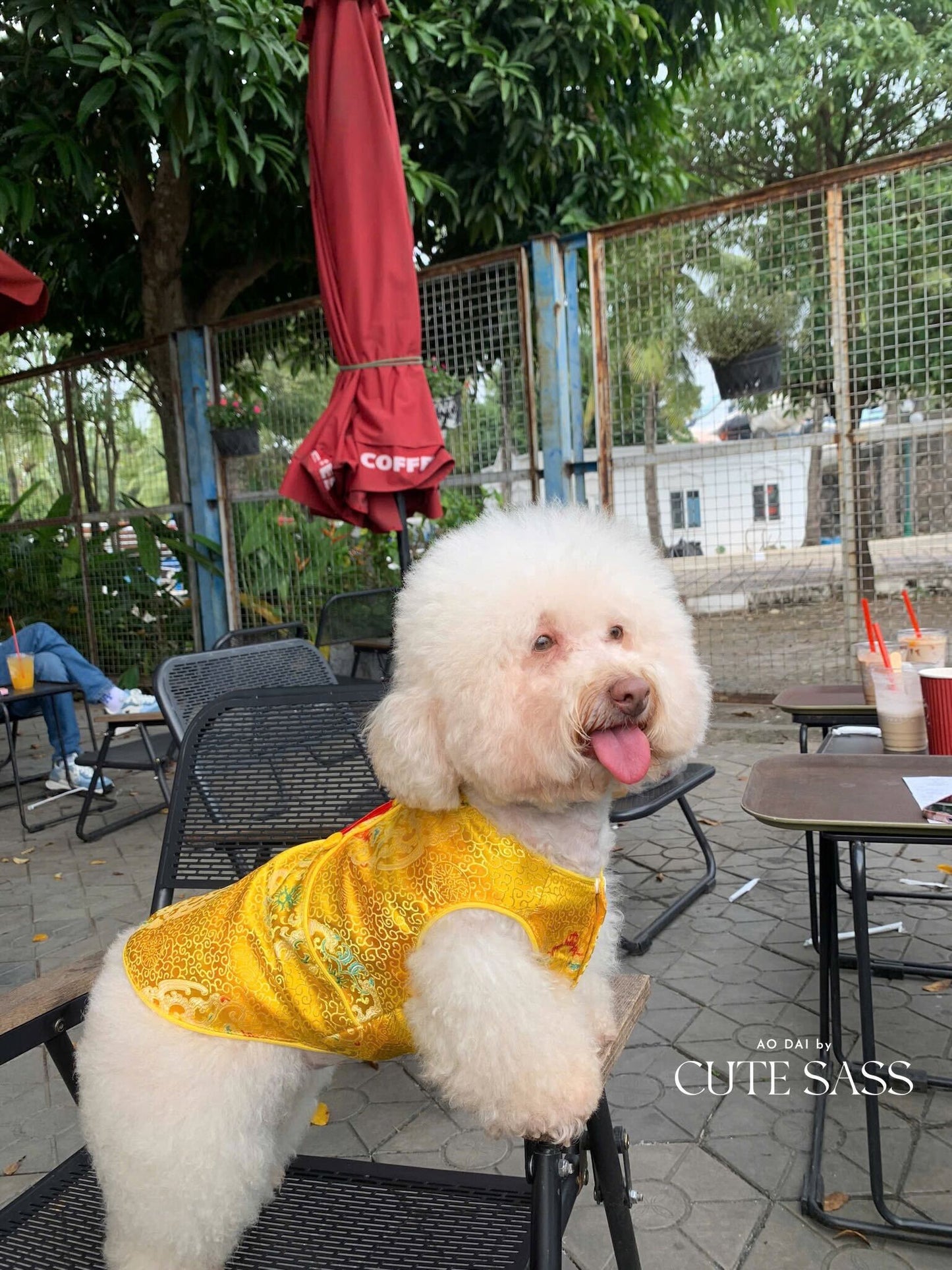 Pet Yellow Gam Short Sleeves Red Tassel Ao Dai