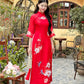 Red Sparkle Spring Ao Dai Set| Pre-made Traditional Vietnamese Ao Dai|Ao Dai with Pants|Lunar New Year|Ao Dai Cach Tan|