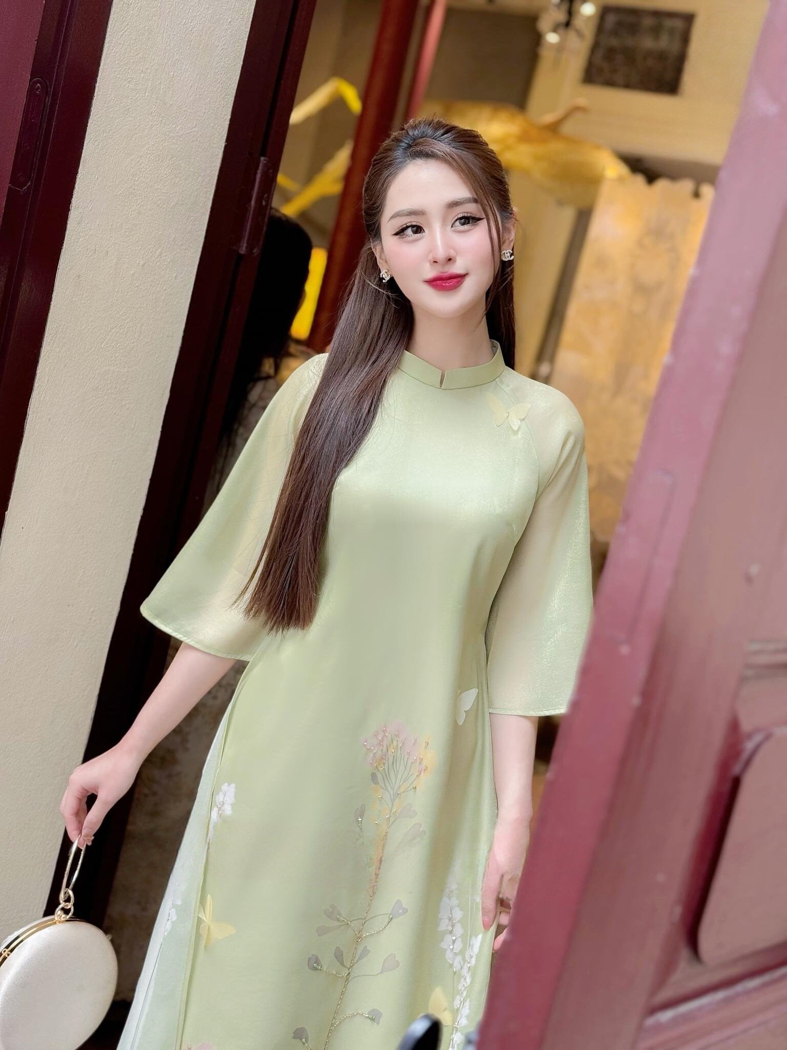 Pastel Green Embroidery Butterfly Ao Dai Set |Pre-made Modernized Vietnamese Ao Dai | Women Ao Dai with Pants | Lunar New Year|7B