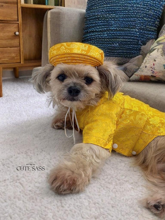 Pet Yellow Gam Traditional Ao Dai with Khan Dong (Headband) 14-15B|Vietnamese Pet Outfit|Cute Dog and Cat Ao Dai|Lunar New Year Pet Clothes|