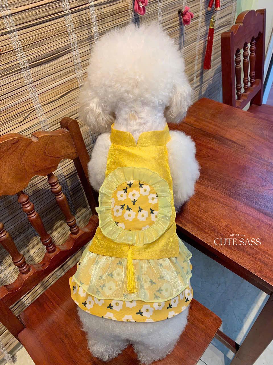 Pet Yellow Daisy Halter Ao Dai 14-15B| Pet Ao Dai Costume | Vietnamese Pet Outfit | Cute Dog and Cat Ao Dai | Lunar New Year Pet Clothes |