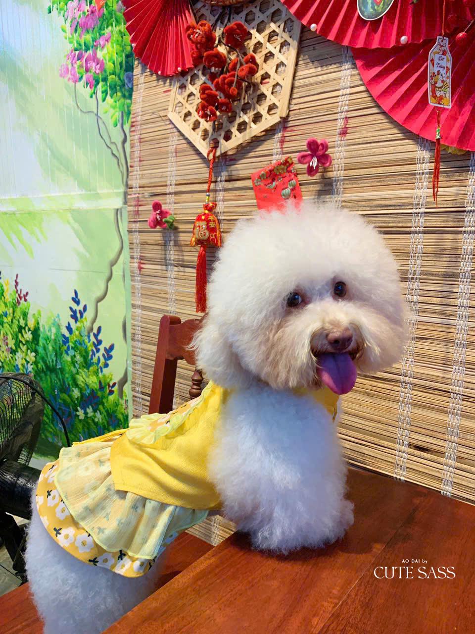 Pet Yellow Daisy Halter Ao Dai 14-15B| Pet Ao Dai Costume | Vietnamese Pet Outfit | Cute Dog and Cat Ao Dai | Lunar New Year Pet Clothes |