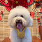 Pet Yellow Daisy Halter Ao Dai 14-15B