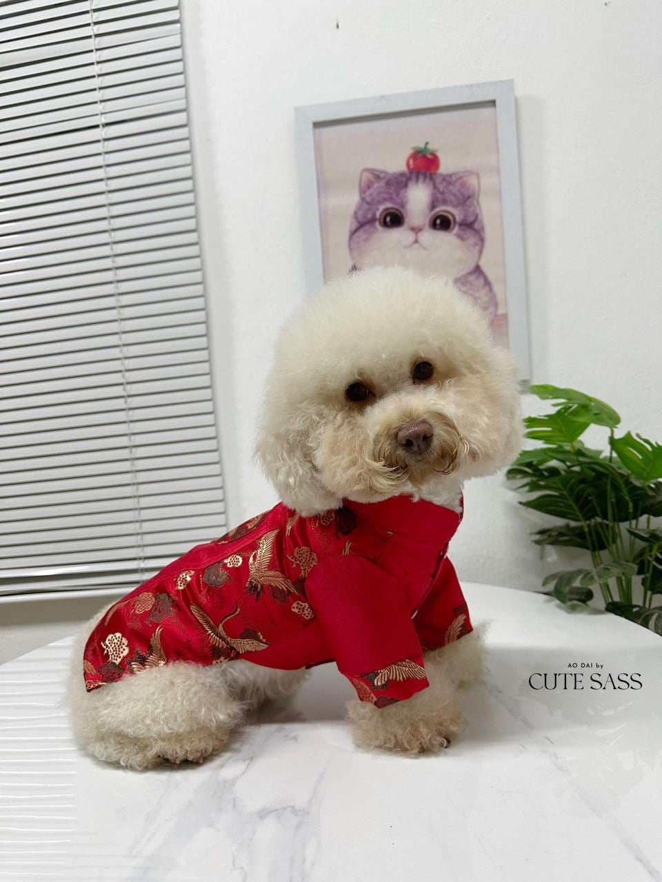 Pet Red Gam Tassel Ao Dai 14-15B| Pet Ao Dai Costume | Vietnamese Pet Outfit | Cute Dog and Cat Ao Dai | Lunar New Year Pet Clothes |